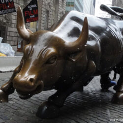 Charging Bull, Wall Street, New York