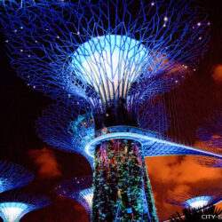 Gardens by the Bay, Singapur